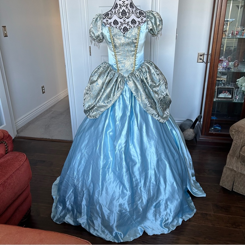 Cinderella Adult Large Halloween Costume ~ Deluxe Enchanting Princess Gown